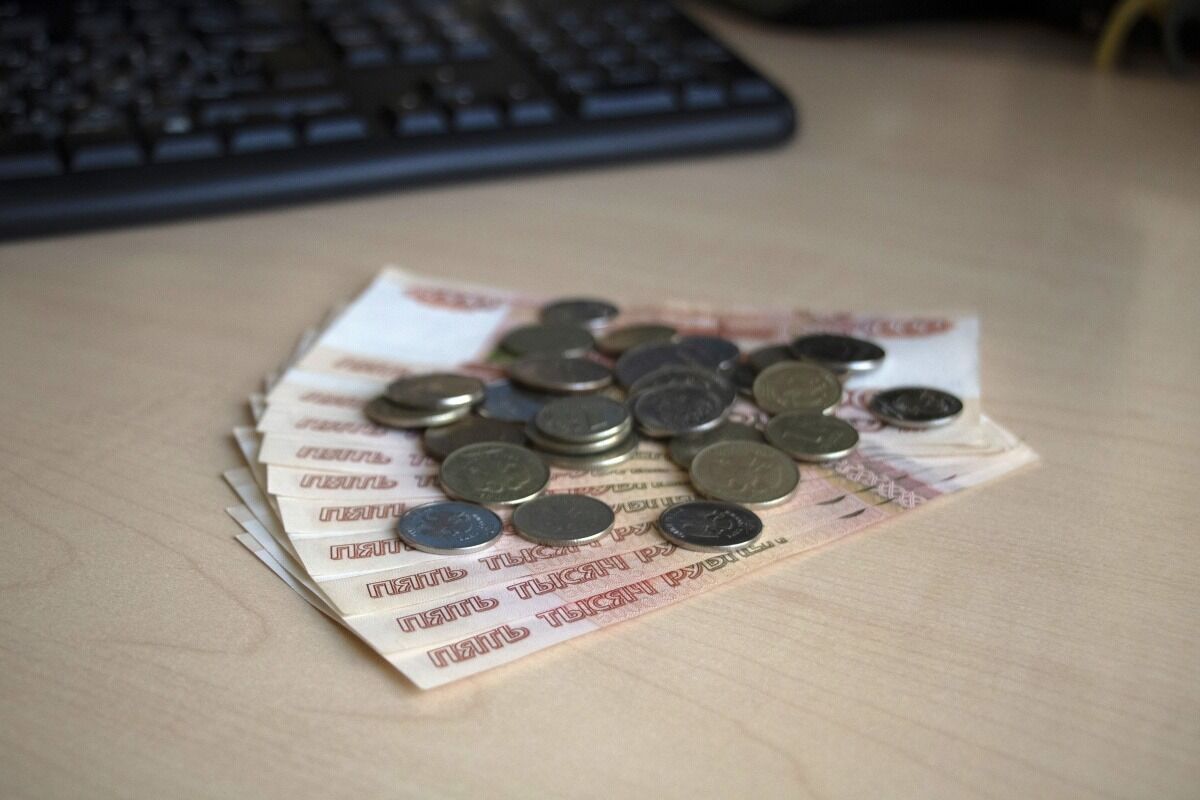«Собака» оставила нижегородку без 3 млн рублей от продажи дома - фото 1