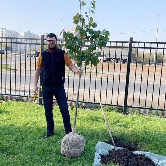 СК «Анастасия» приняла участие в высадке деревьев в Батайске