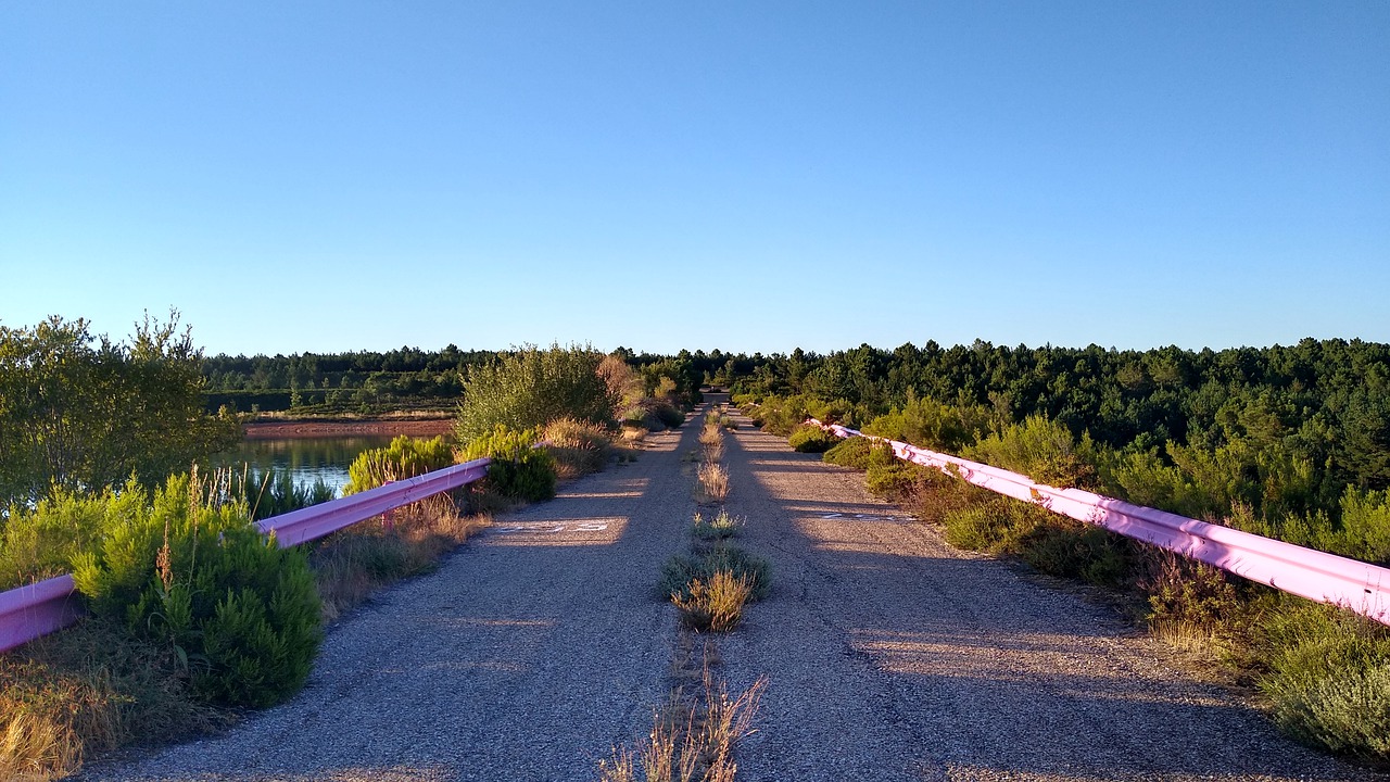 Жители воронежского пожаловались в прокуратуру на бесполезный ремонт дороги - фото 1