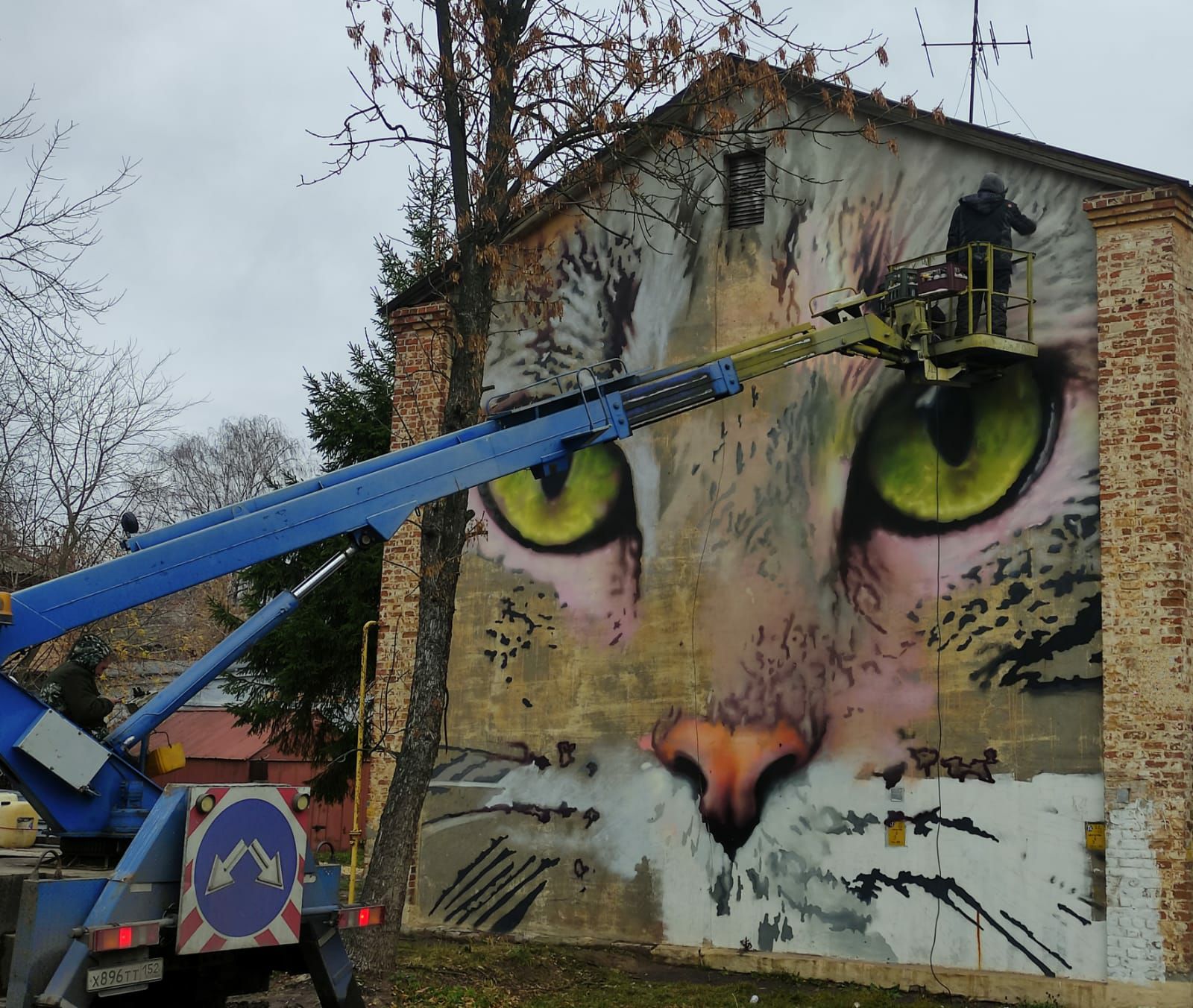 Новое граффити с котом появится на фасаде дома в Сормове  - фото 1