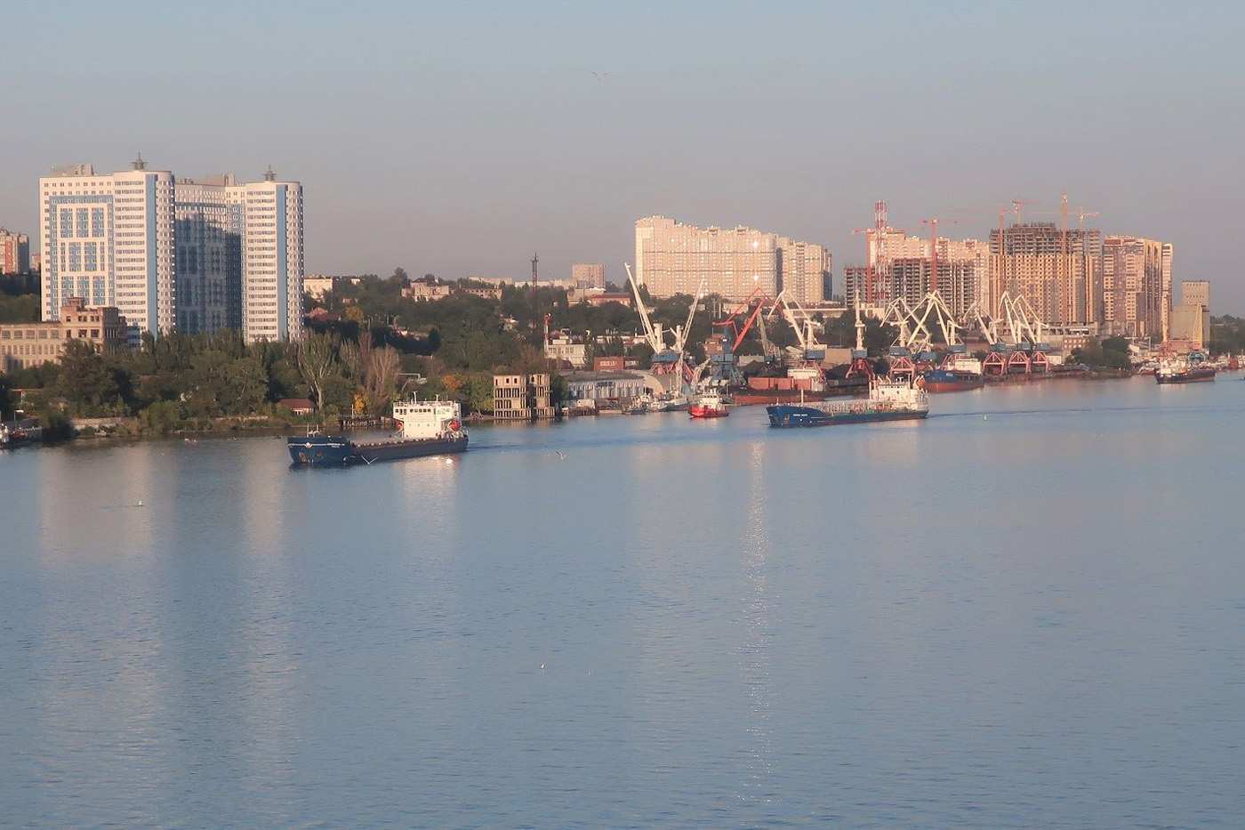 В Ростовской области к строительству сухого порта могут привлечь иностранных инвесторов - фото 1