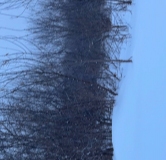 Ход строительства дома 2, секция 2.2 в ЖК Расцветай в Новолуговом -