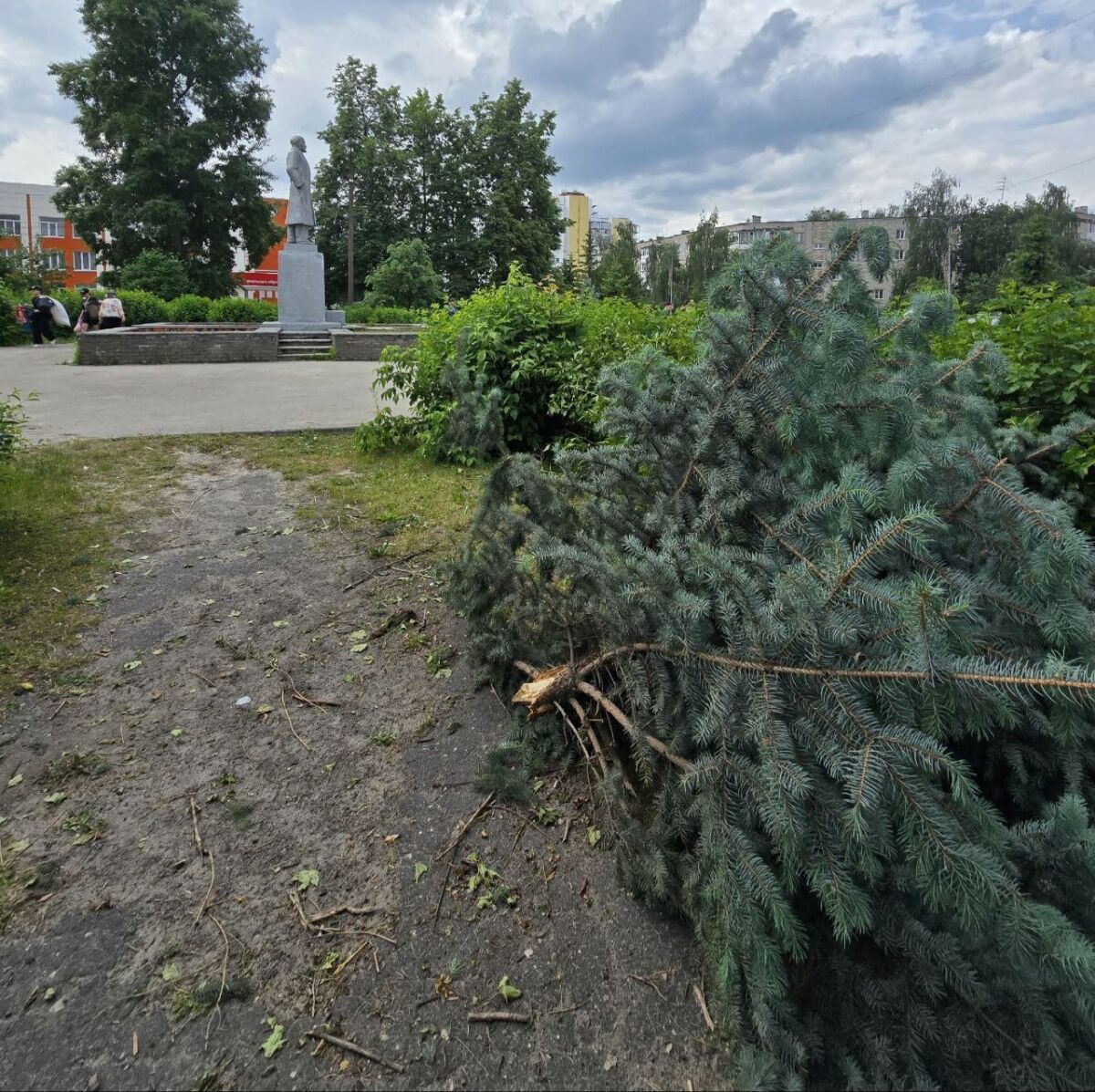 Разгромивших сквер вандалов разыскивают на Бору - фото 1